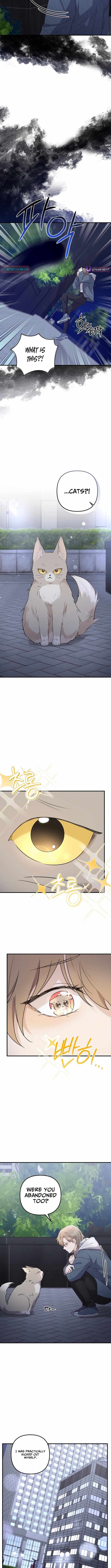 As of Today, I Have Become the Butler of Five Men Chapter 1 page 11 - 