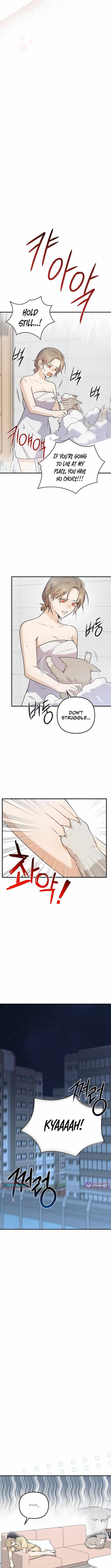 As of Today, I Have Become the Butler of Five Men Chapter 1 page 13 - 