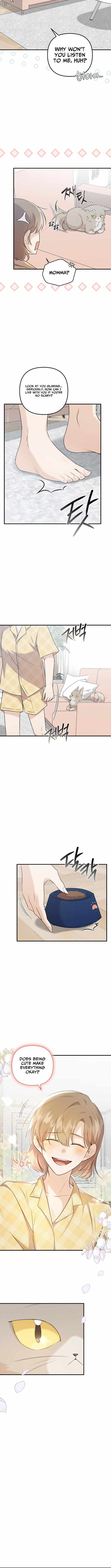 As of Today, I Have Become the Butler of Five Men Chapter 1 page 14 - 