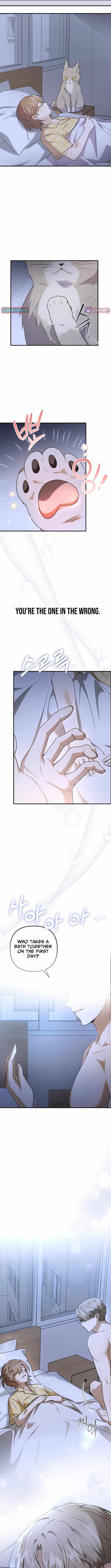 As of Today, I Have Become the Butler of Five Men Chapter 1 page 15 - 