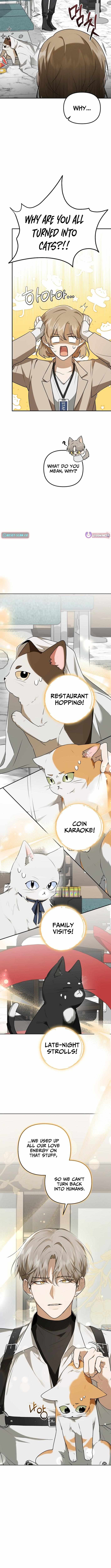 As of Today, I Have Become the Butler of Five Men Chapter 1 page 3 - 