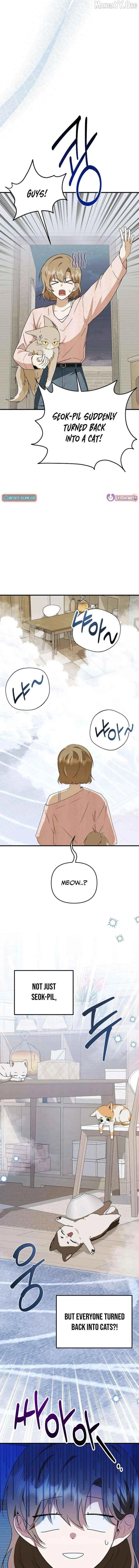 As of Today, I Have Become the Butler of Five Men Chapter 27 page 15 - 