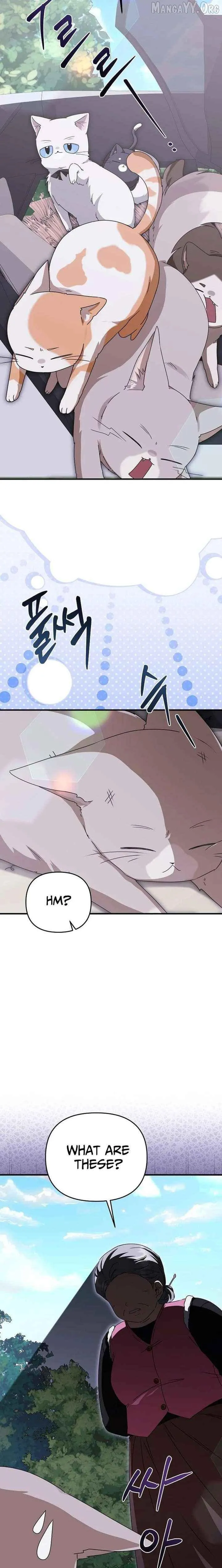 As of Today, I Have Become the Butler of Five Men Chapter 31 page 9 - 