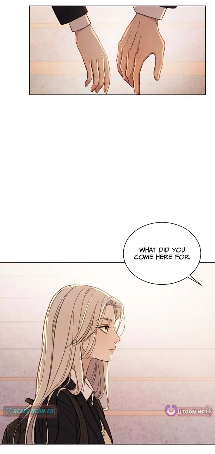 As You Wished Chapter 11 page 43 - 