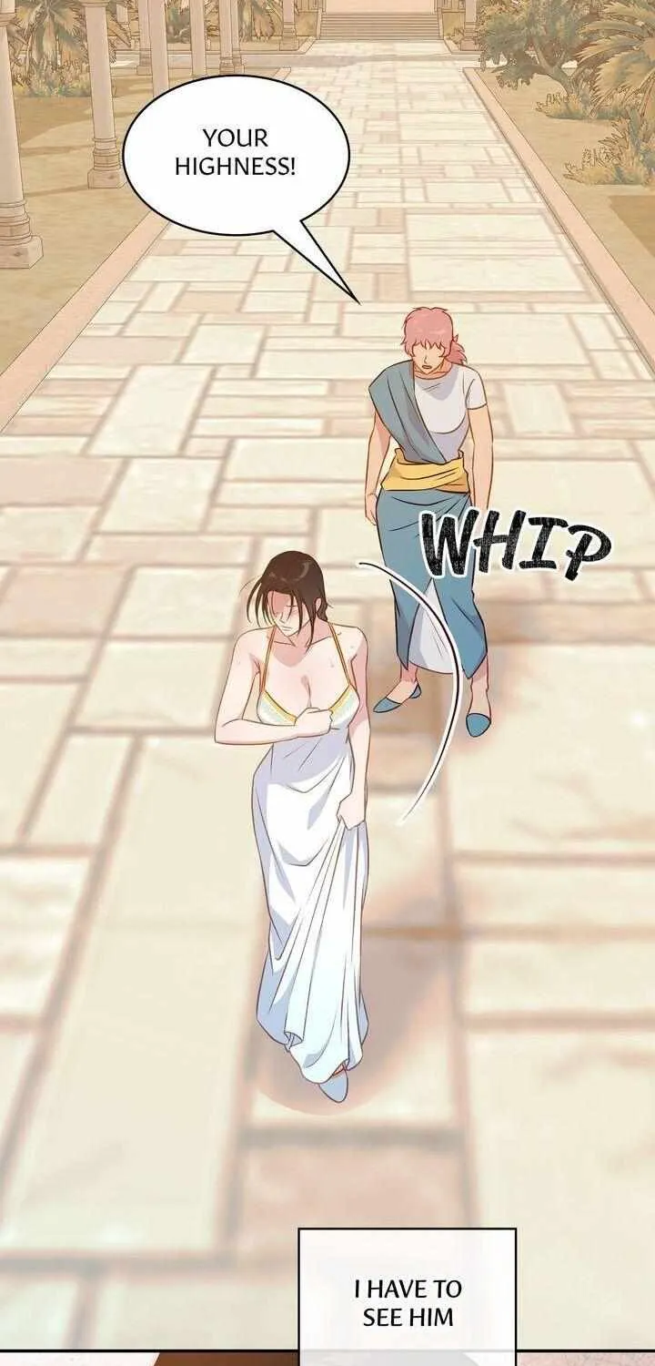 Assassin Chapter 25 page 77 - 