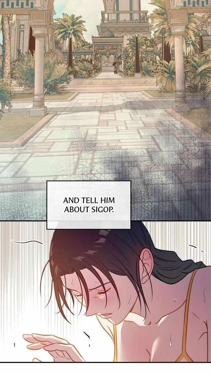 Assassin Chapter 25 page 79 - 