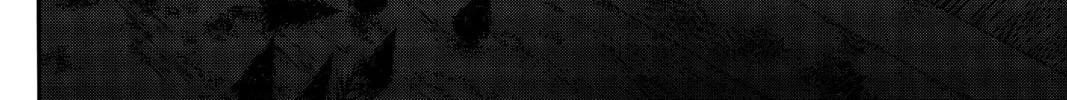 Attack on Titan Chapter 38 page 82 - 
