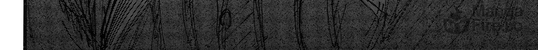 Attack on Titan Chapter 75 page 40 - 