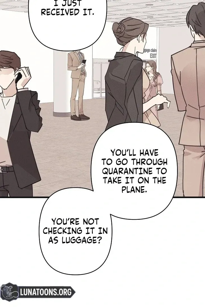 Awkward Partnership Chapter 22 page 50 - 