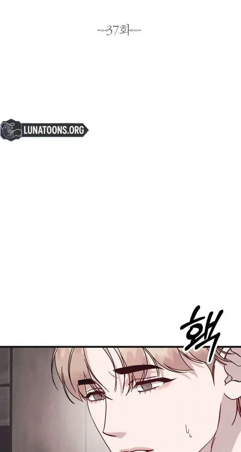 Awkward Partnership Chapter 37 page 38 - 
