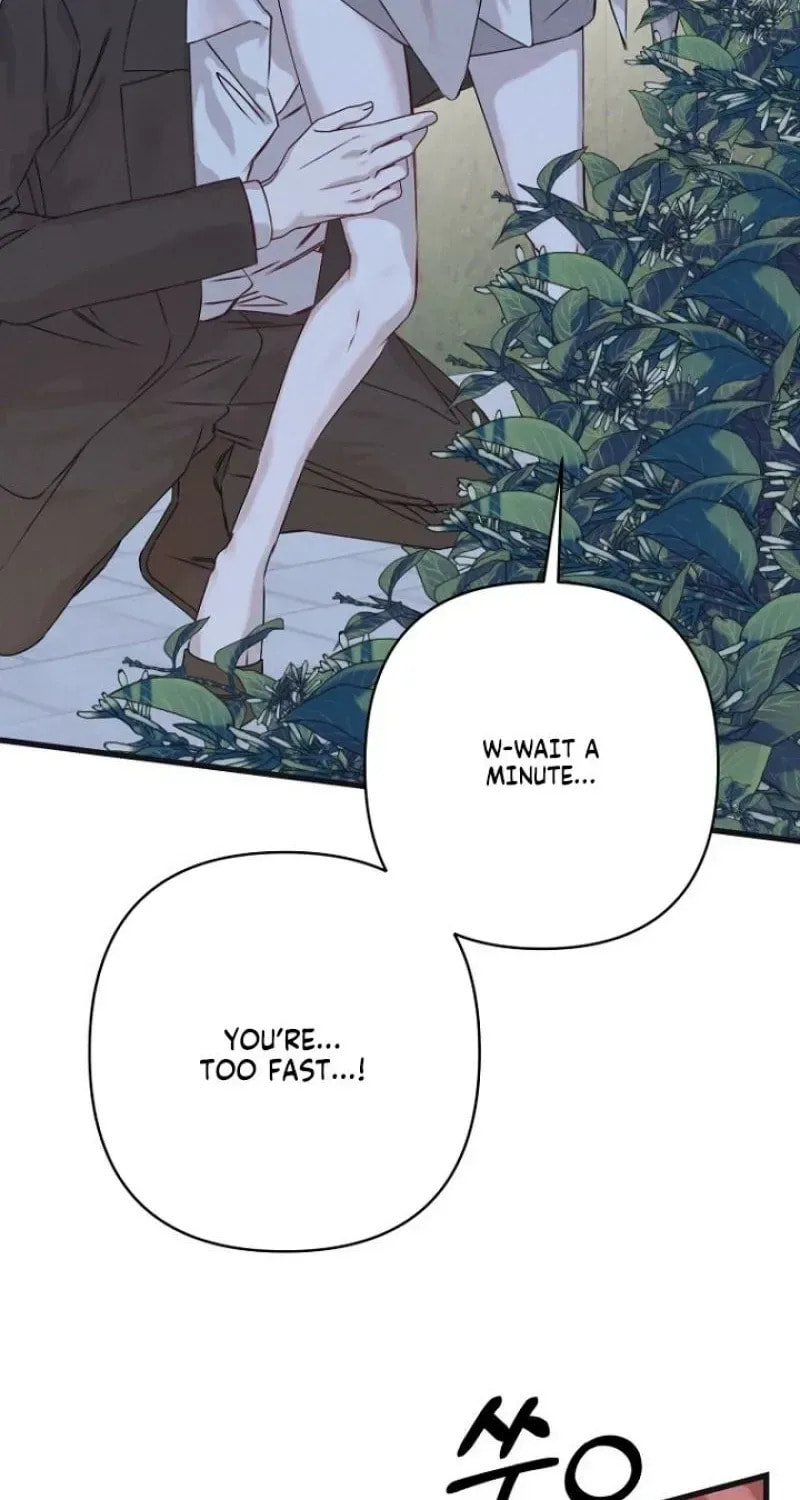 Awkward Partnership Chapter 42 page 79 - 