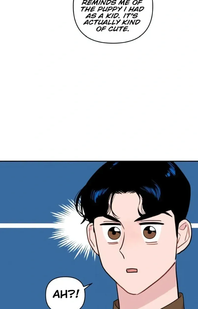 Awkward Relationship Chapter 13 page 71 - 