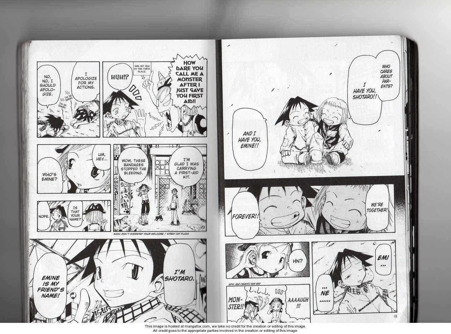 B. Ichi Chapter 1.1 page 8 - 