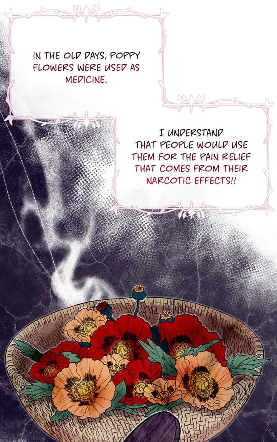 Baby Pharmacist Princess Chapter 21 page 5 - 