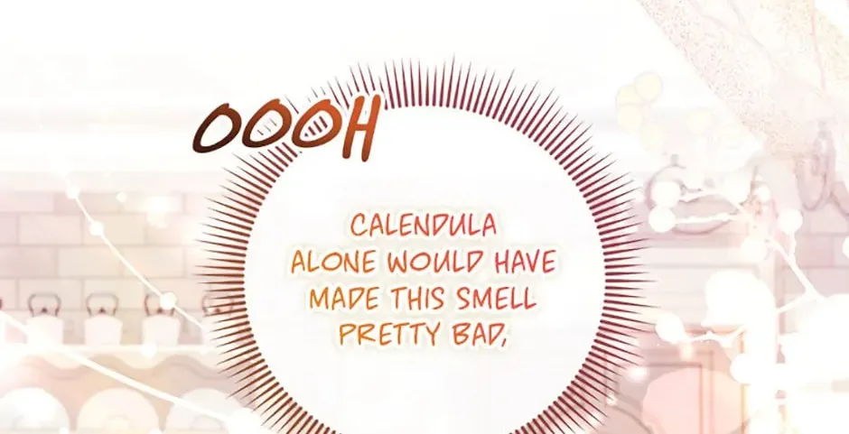 Baby Pharmacist Princess Chapter 26 page 104 - 