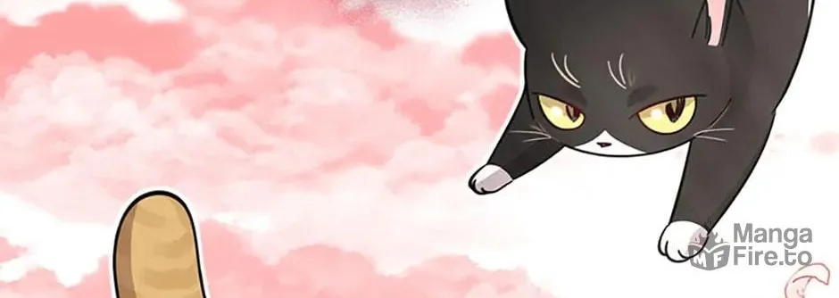 Baby Pharmacist Princess Chapter 45 page 108 - 