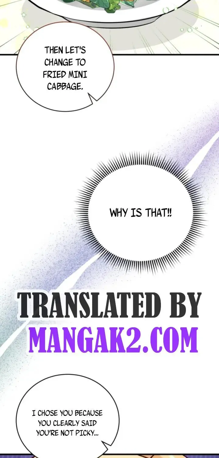 Baby Pharmacist Princess Chapter 5.5 page 25 - 