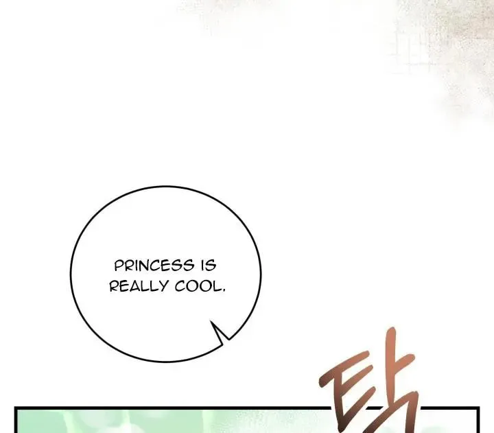Baby Pharmacist Princess Chapter 6.5 page 12 - 