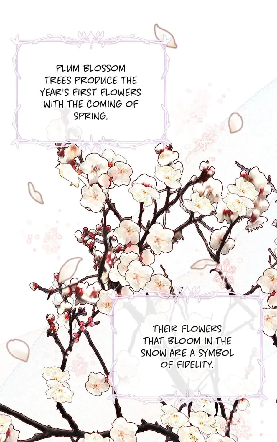 Baby Pharmacist Princess Chapter 7 page 55 - 