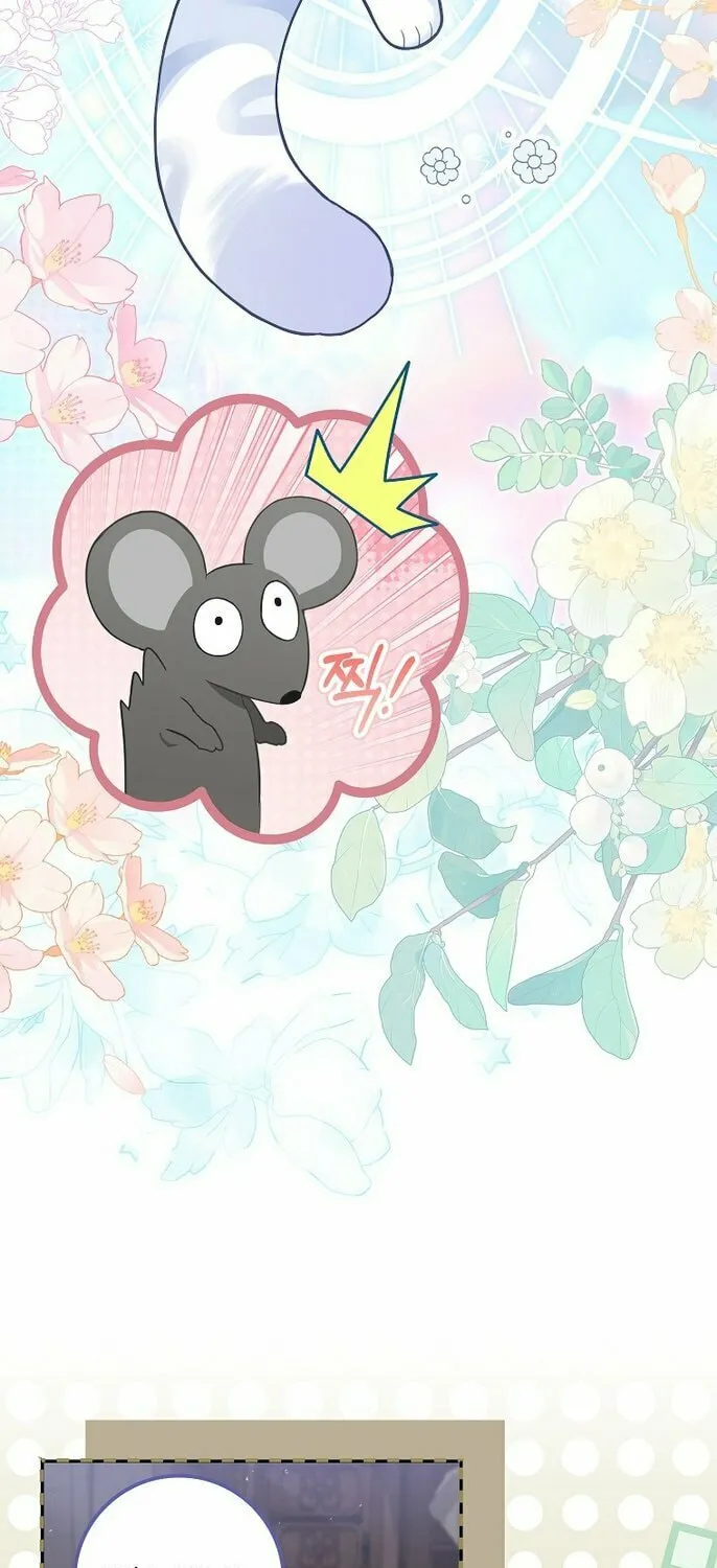 Baby Snow Leopard of the Black Leopard Family Chapter 2 page 17 - 