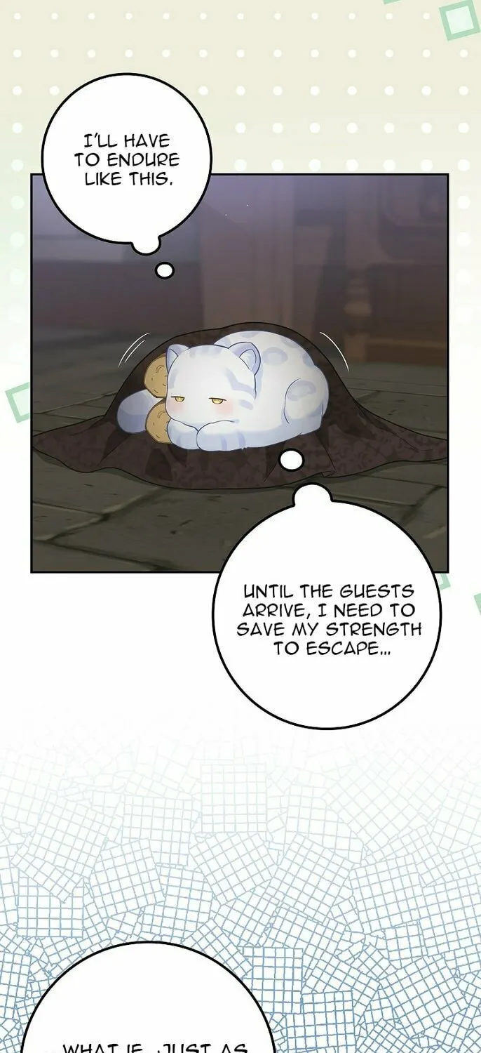 Baby Snow Leopard of the Black Leopard Family Chapter 2 page 19 - 