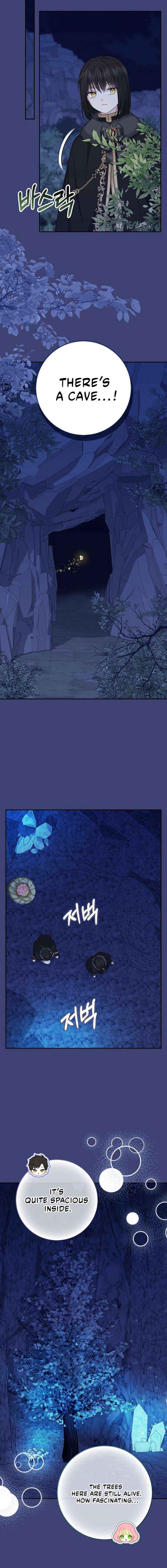Baby Snow Leopard of the Black Leopard Family Chapter 61 page 12 - 