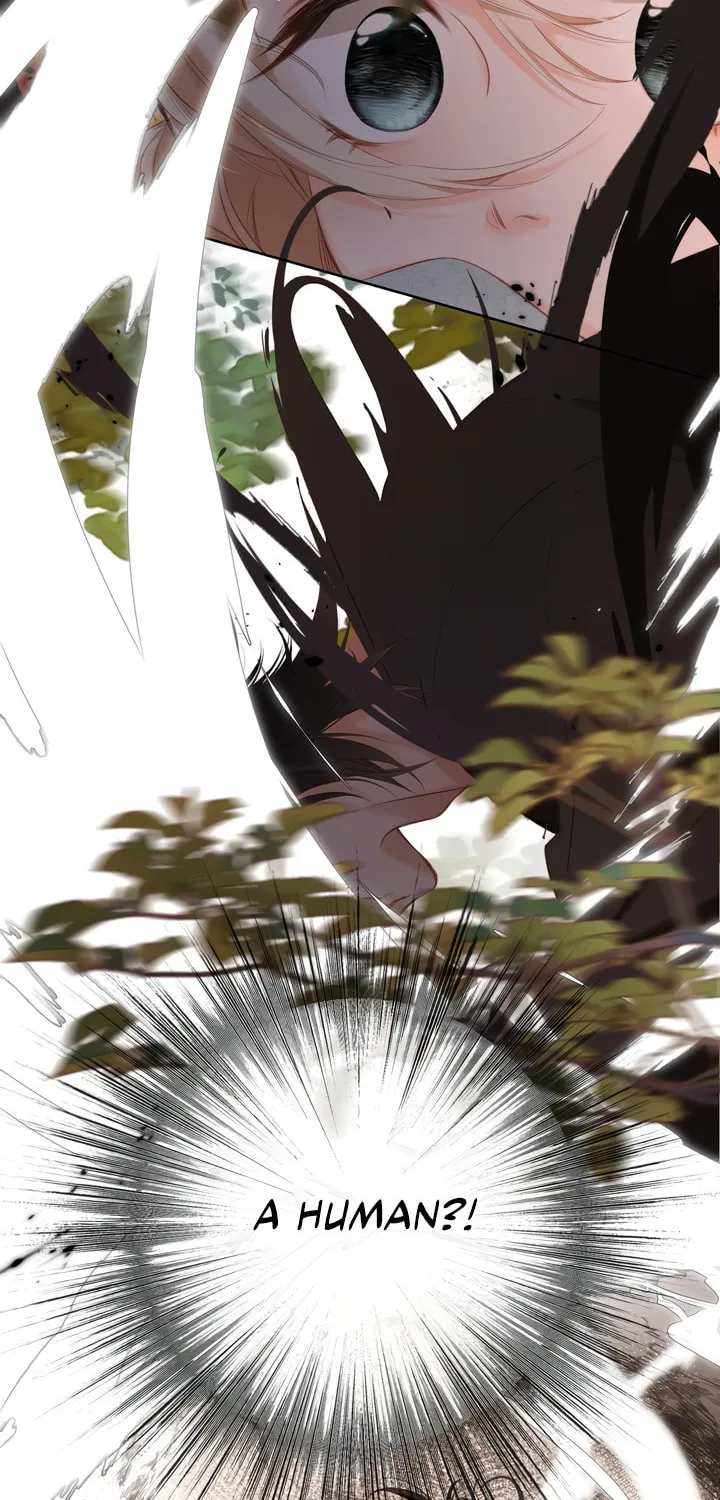 Back to Spring Chapter 1 page 62 - 