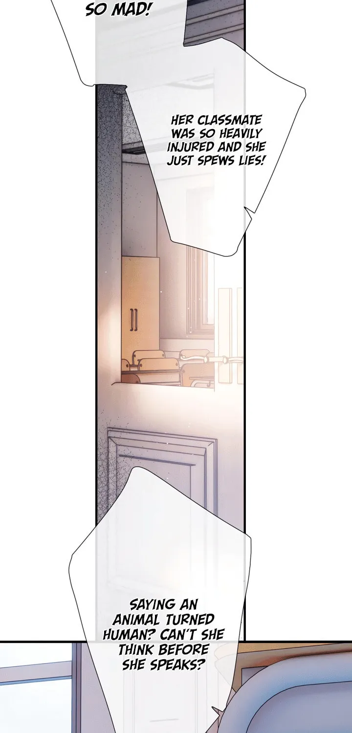 Back to Spring Chapter 14 page 20 - 