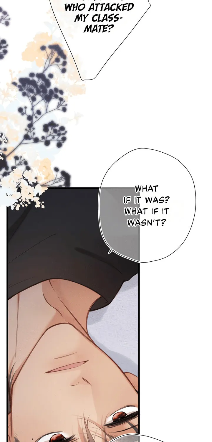 Back to Spring Chapter 27 page 20 - 