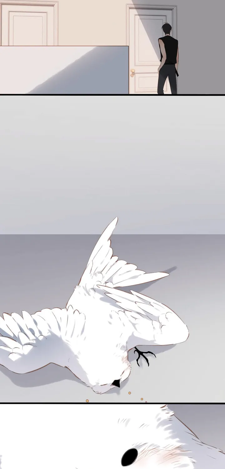 Back to Spring Chapter 32 page 31 - 