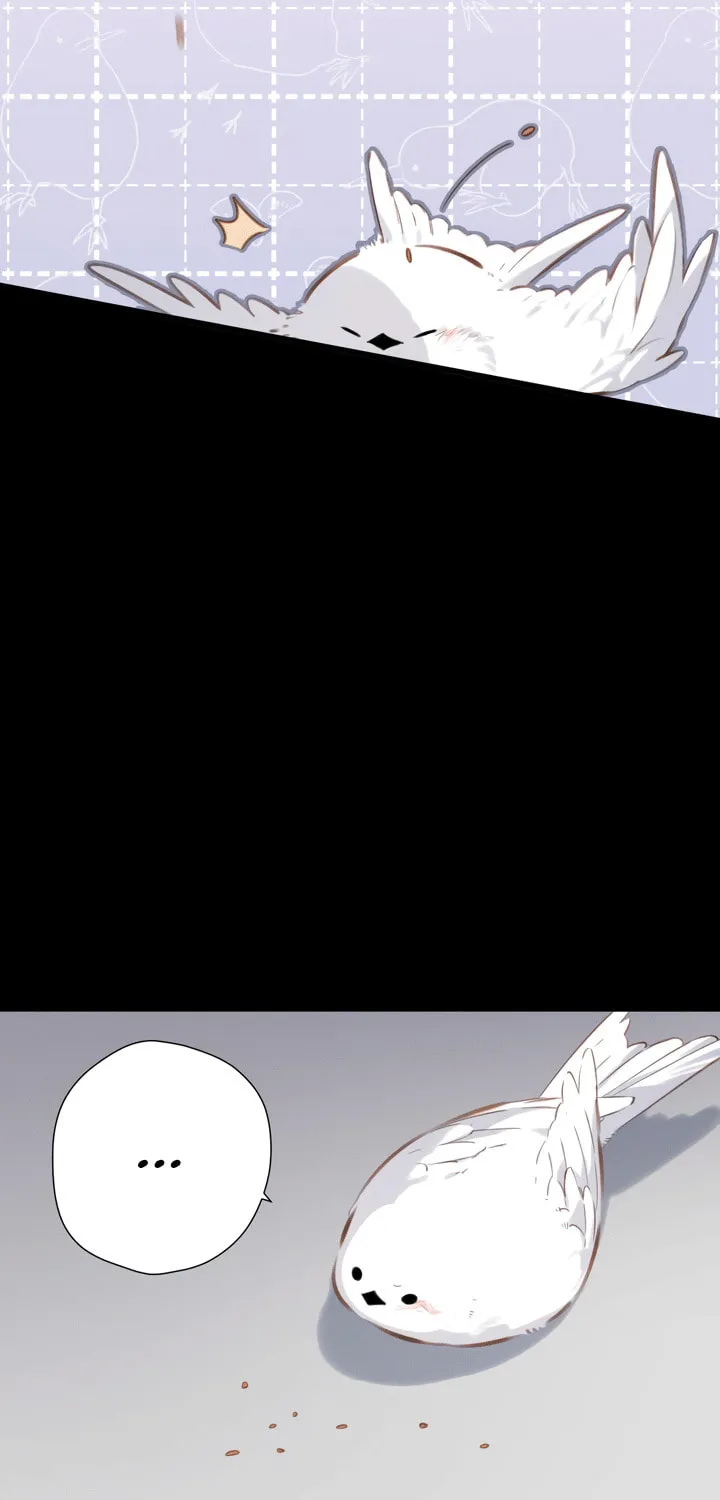 Back to Spring Chapter 32 page 37 - 