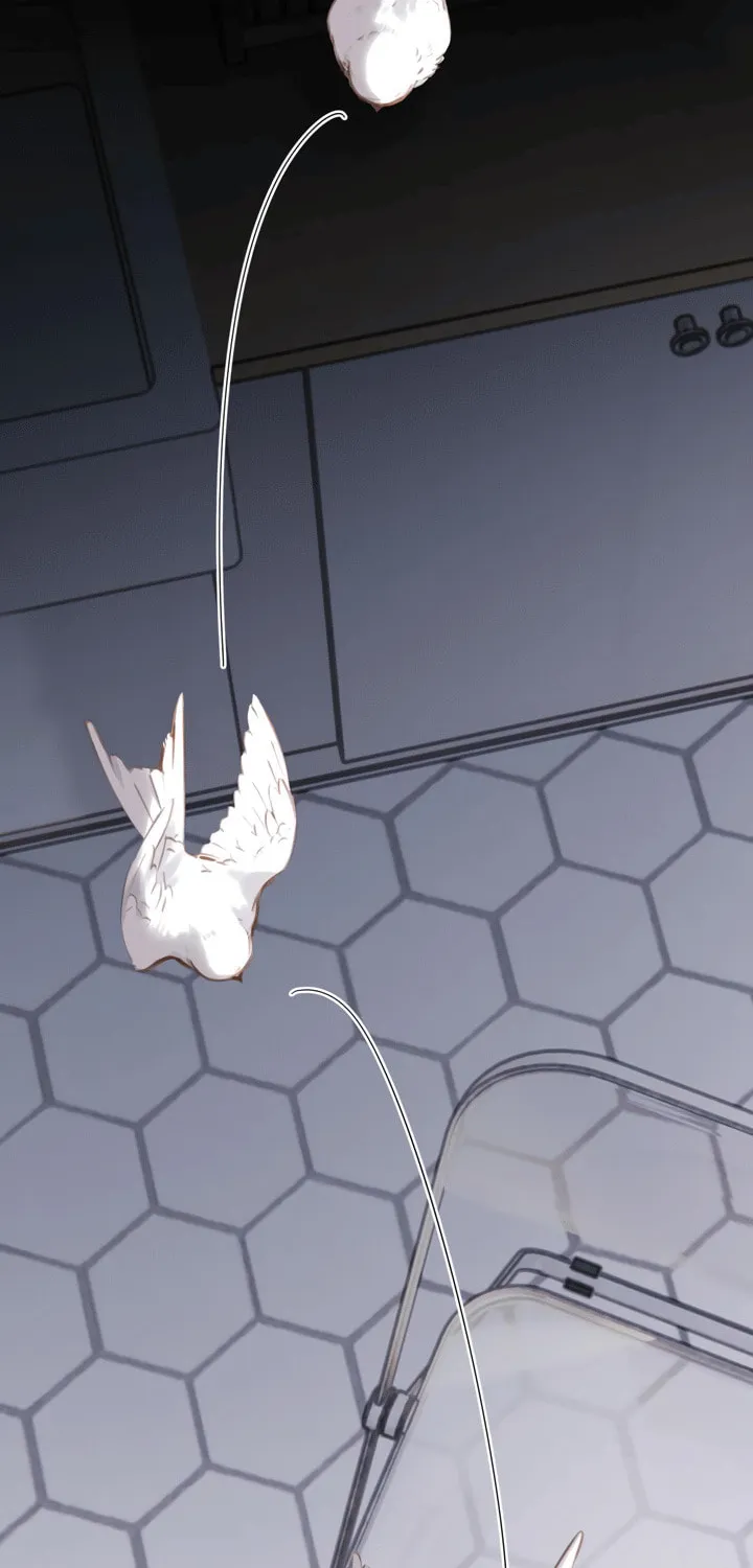 Back to Spring Chapter 32 page 40 - 