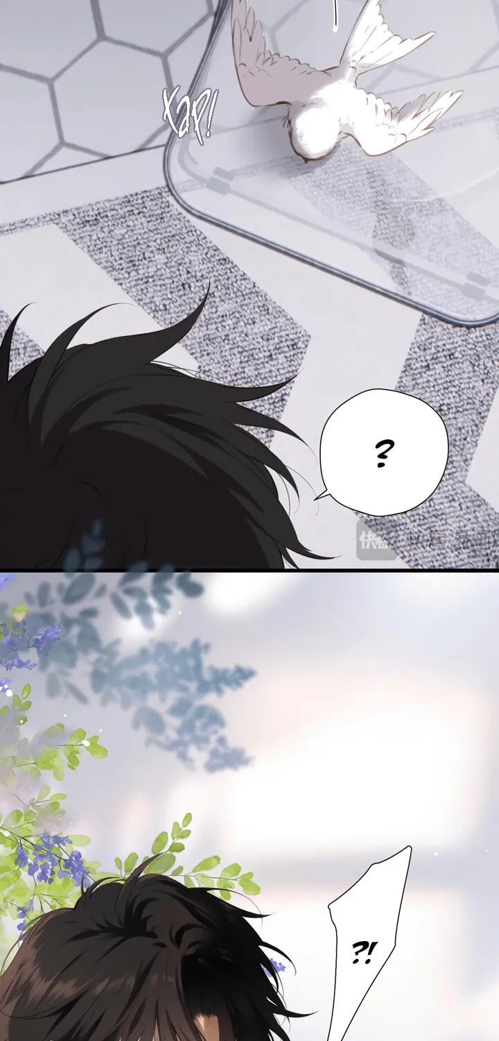Back to Spring Chapter 32 page 41 - 