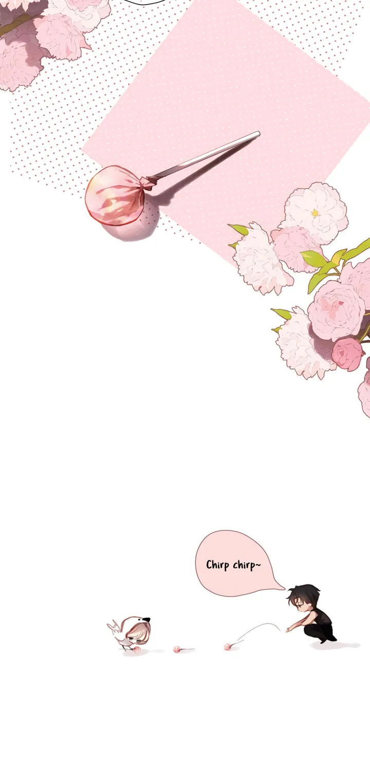 Back to Spring Chapter 33.5 page 13 - 