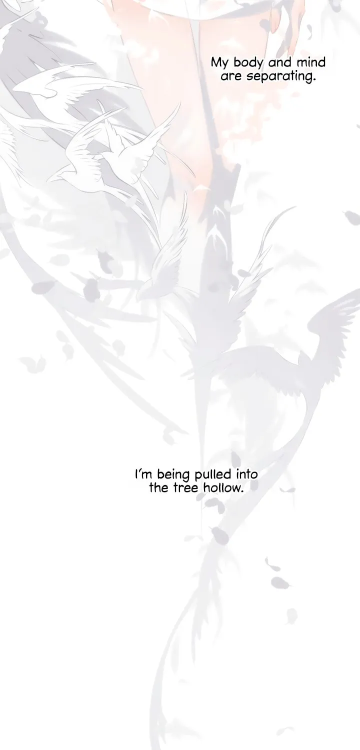 Back to Spring Chapter 36 page 22 - 