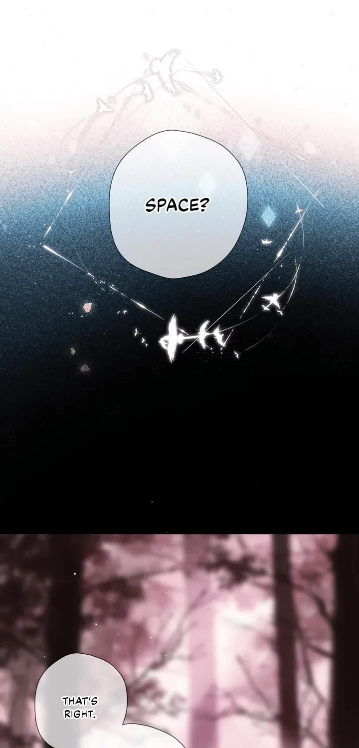 Back to Spring Chapter 37 page 14 - 