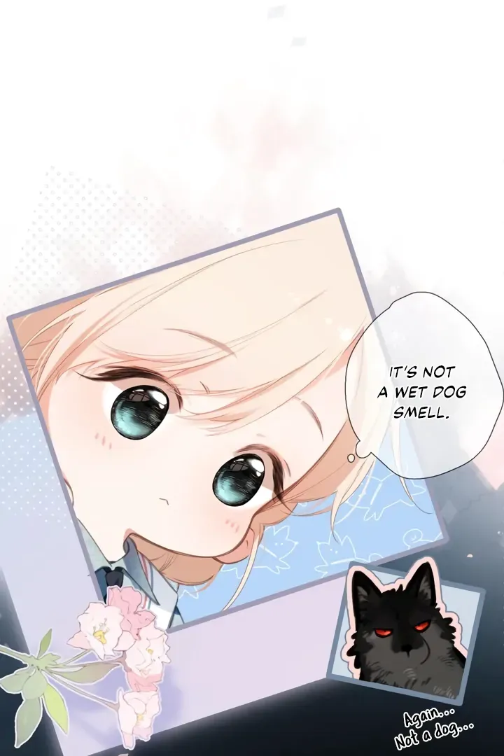 Back to Spring Chapter 44 page 15 - 
