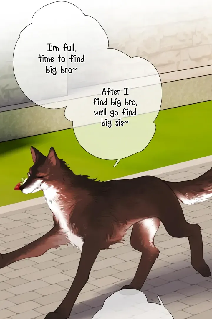 Back to Spring Chapter 45 page 51 - 