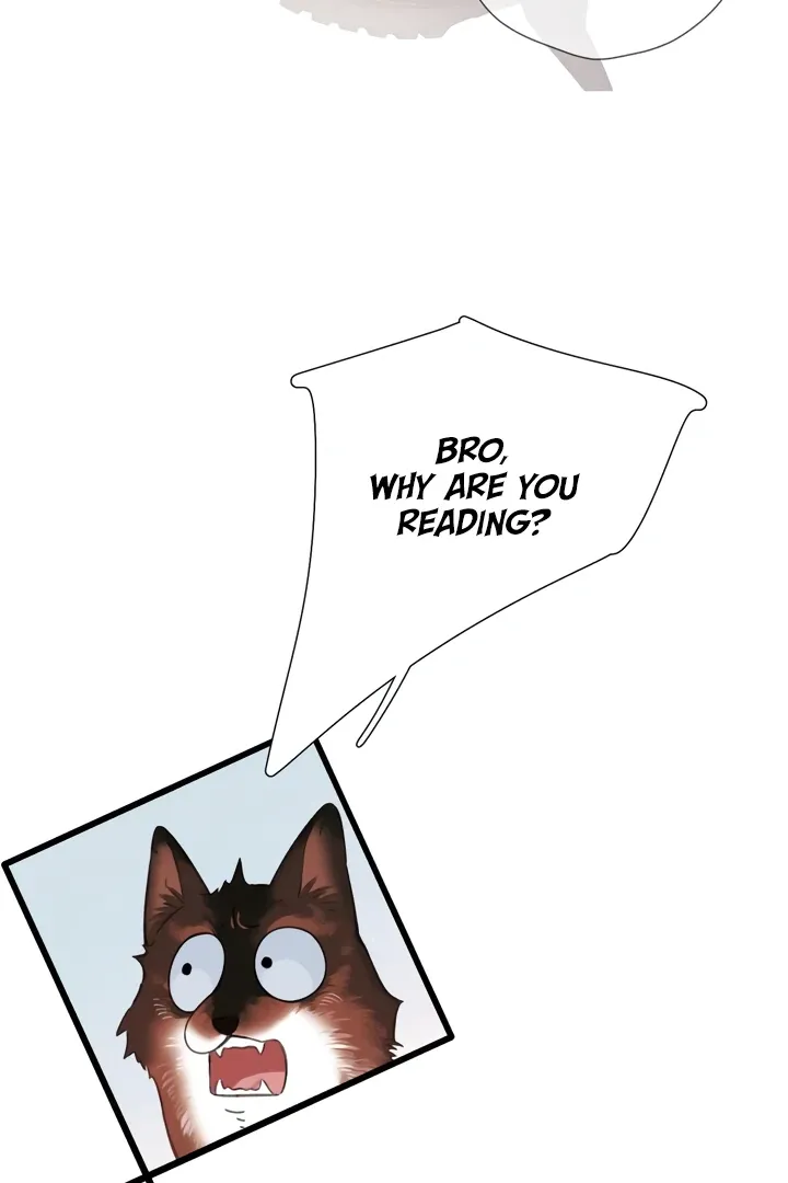 Back to Spring Chapter 45 page 56 - 