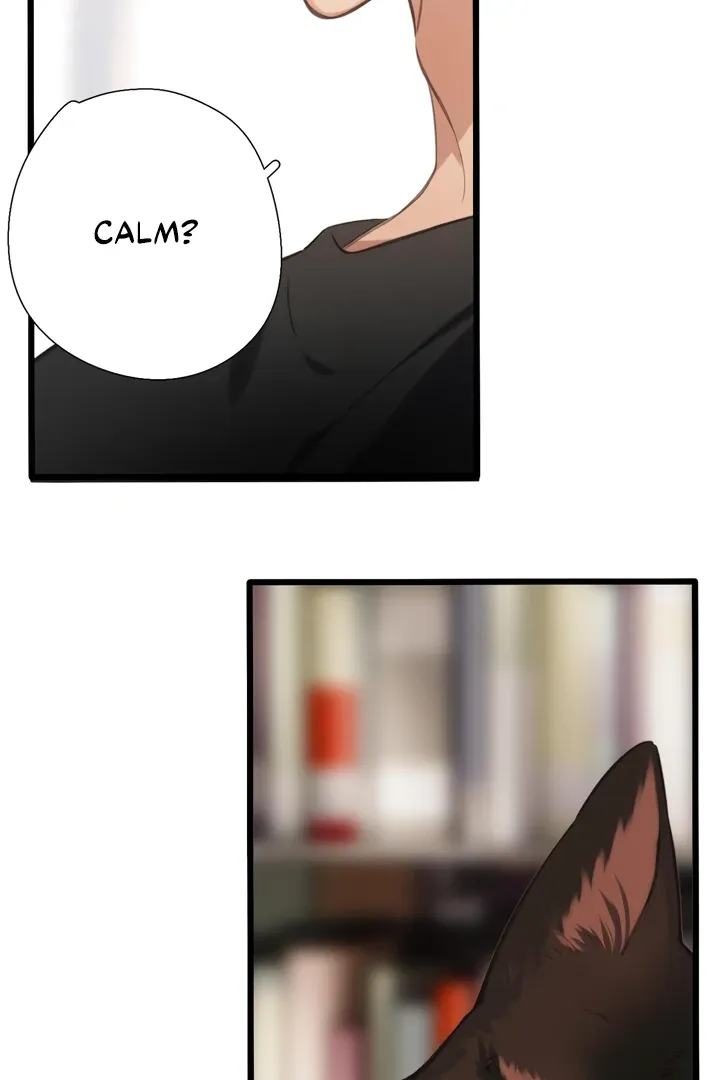 Back to Spring Chapter 45 page 61 - 