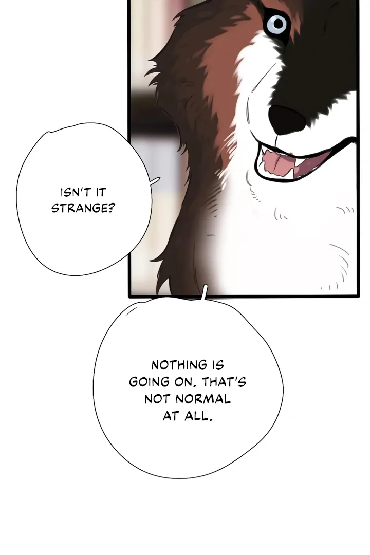 Back to Spring Chapter 45 page 62 - 
