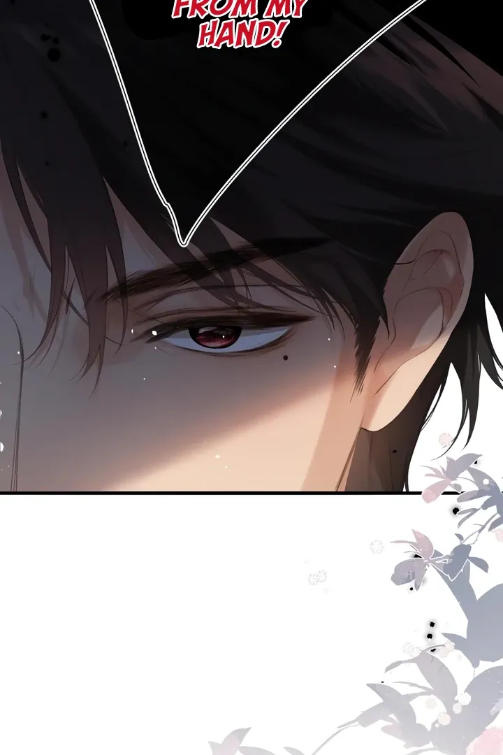 Back to Spring Chapter 48 page 4 - 
