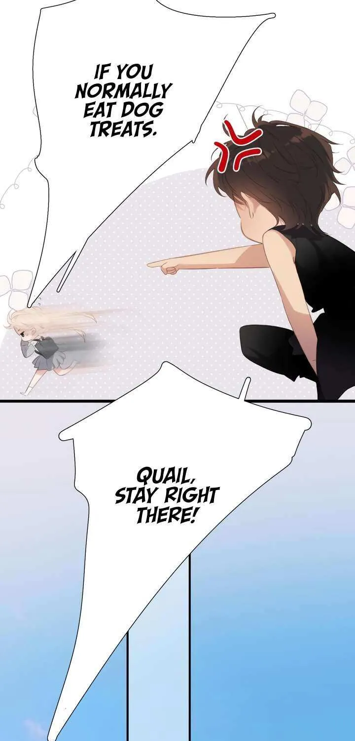 Back to Spring Chapter 50 page 38 - 