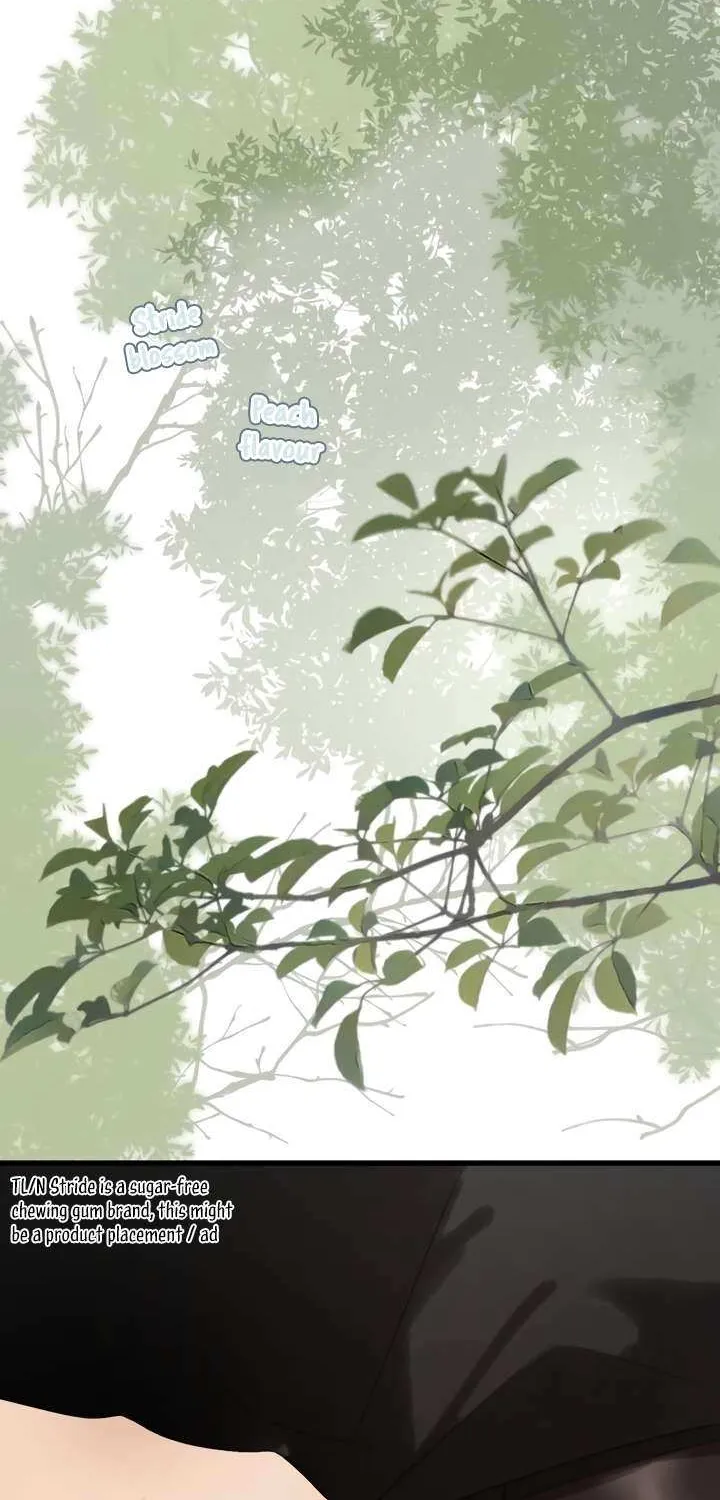 Back to Spring Chapter 50 page 43 - 