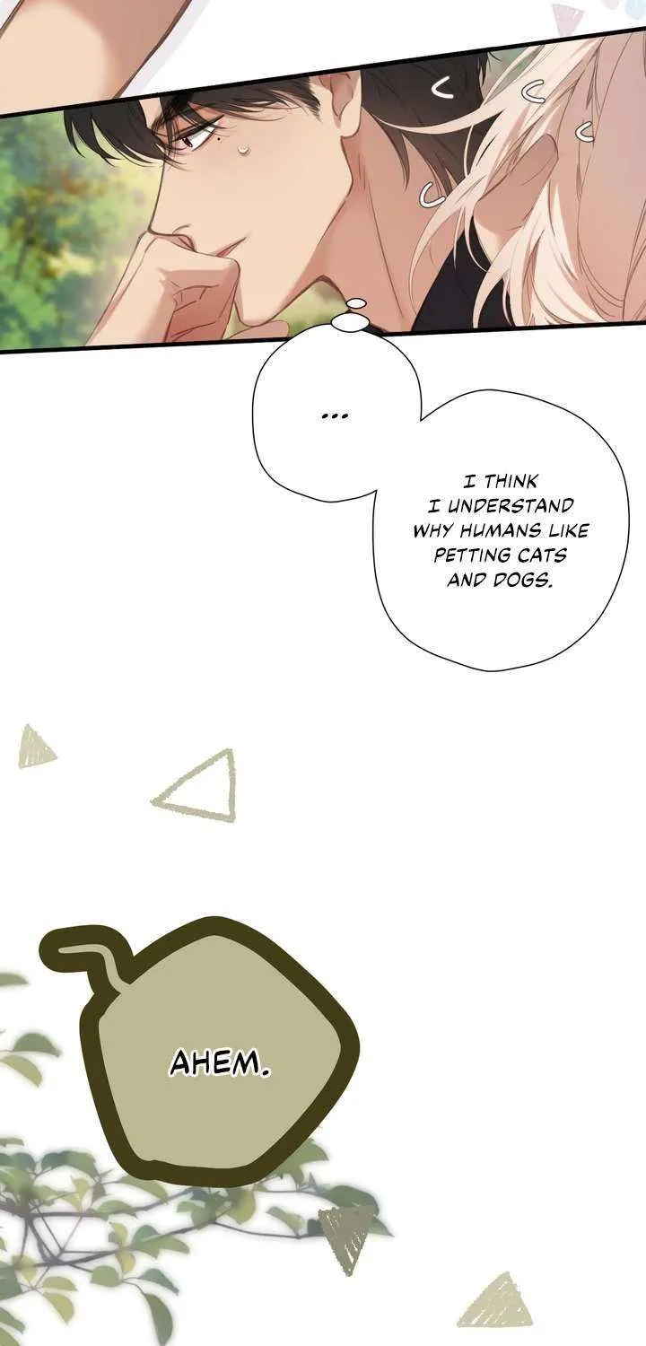 Back to Spring Chapter 51 page 16 - 