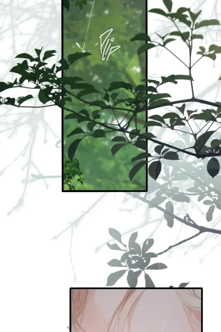 Back to Spring Chapter 52 page 37 - 