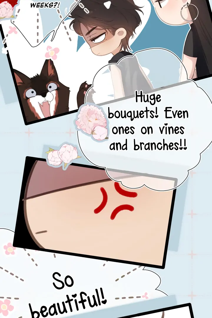 Back to Spring Chapter 54 page 21 - 