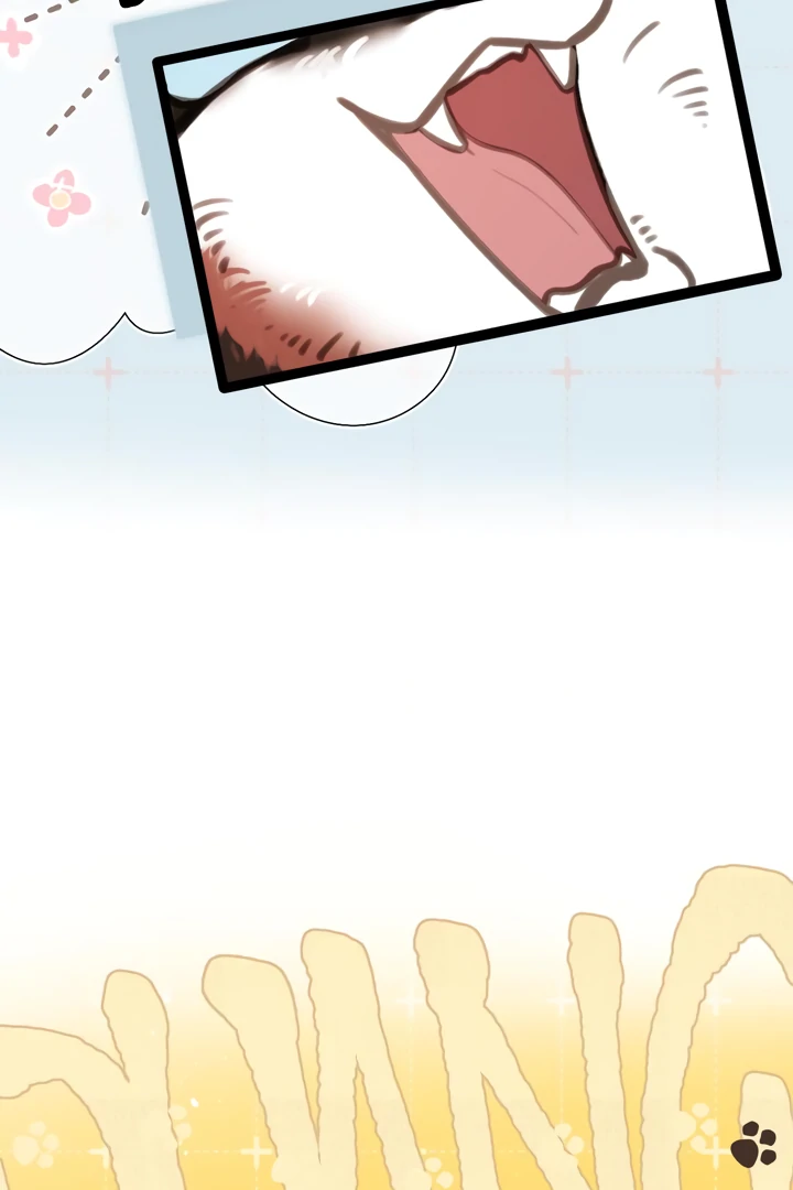 Back to Spring Chapter 54 page 22 - 