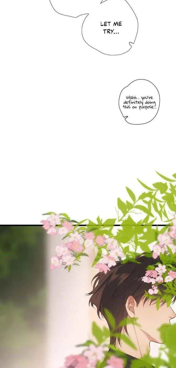 Back to Spring Chapter 59 page 20 - 