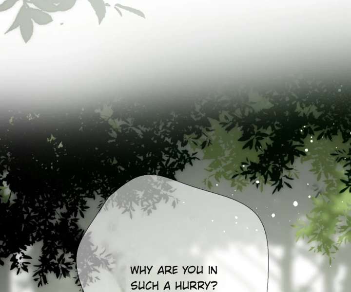 Back to Spring Chapter 66 page 73 - 